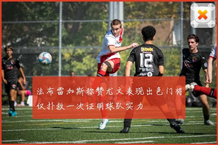 法布雷加斯称赞尤文表现出色门将仅扑救一次证明球队实力