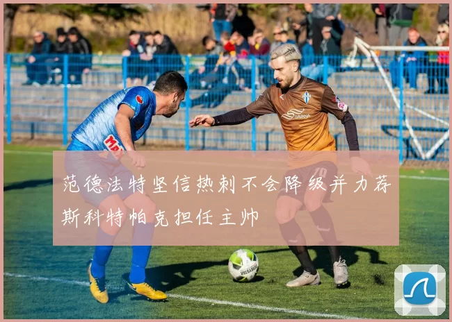 范德法特坚信热刺不会降级并力荐斯科特帕克担任主帅